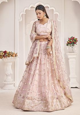 Baby Pink Thread Embroidered Butterfly Net Lehenga Set