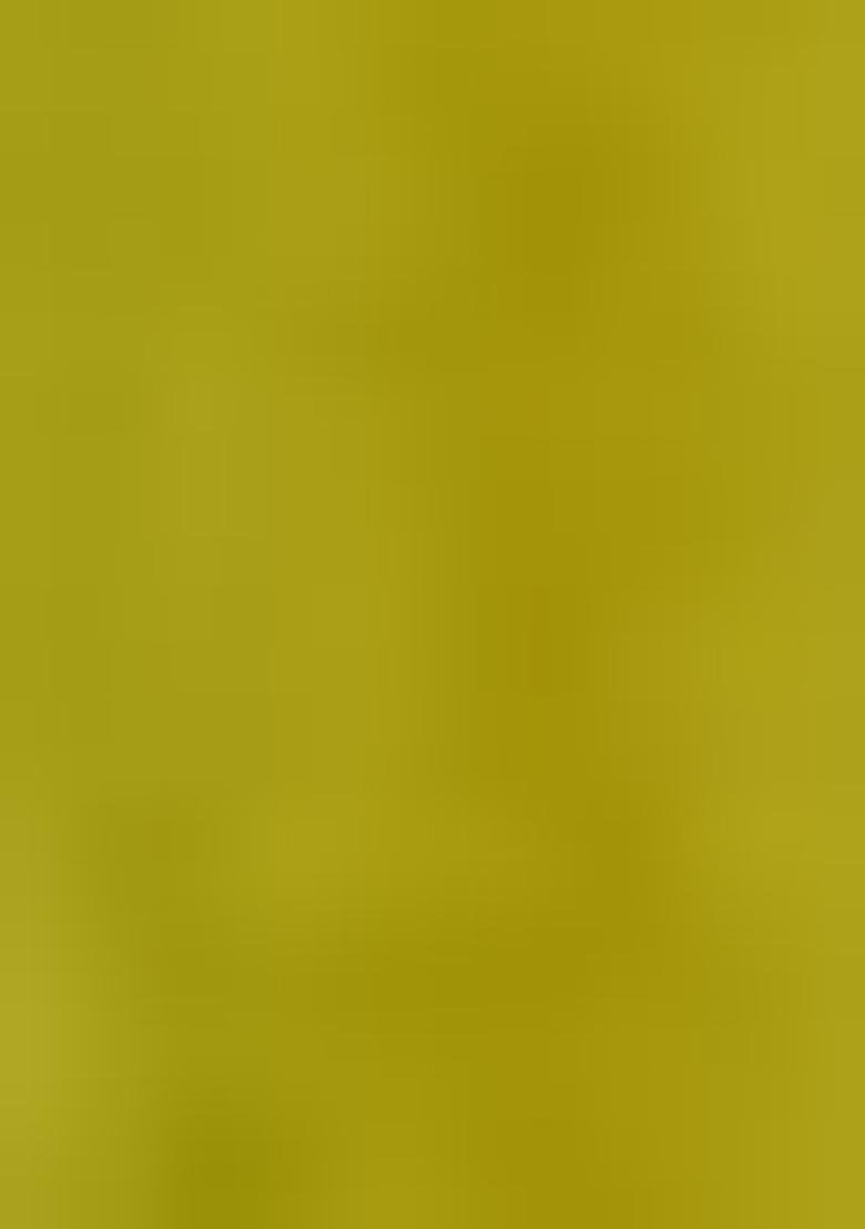 Green Embroidered Rayon Lehenga Choli - Indya