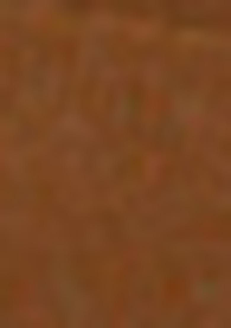 Brown Sequence Embroidery Net Lehenga Set With Dupatta