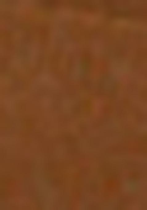 Brown Sequence Embroidery Net Lehenga Set With Dupatta