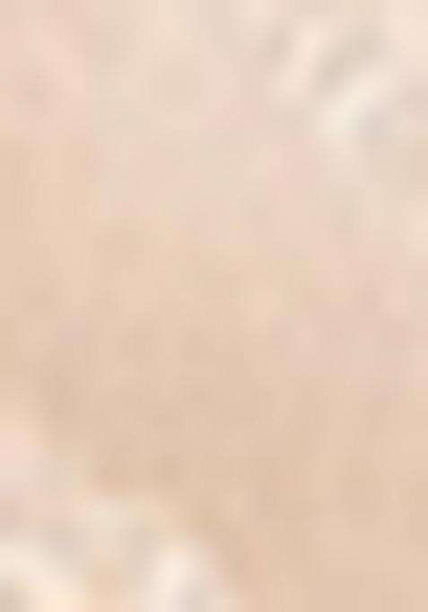 White Sequence Embroidery Net Lehenga Set With Dupatta