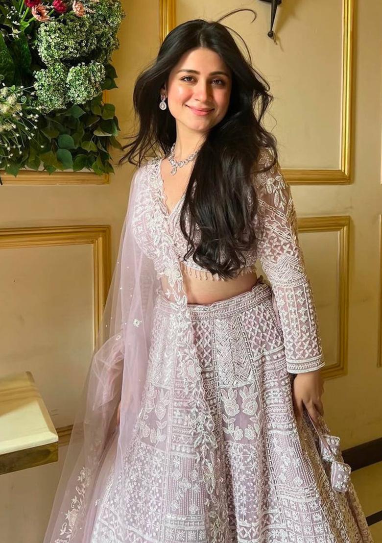 Multi Color Embroidered Net Lehenga Set With Dupatta - Indya