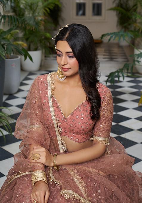 Rust Brown Thread Embroidered Net Lehenga Set