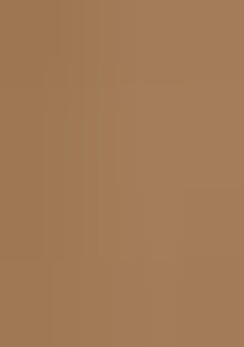 Multi Color Embroidered Silk Lehenga Set With Dupatta - Indya