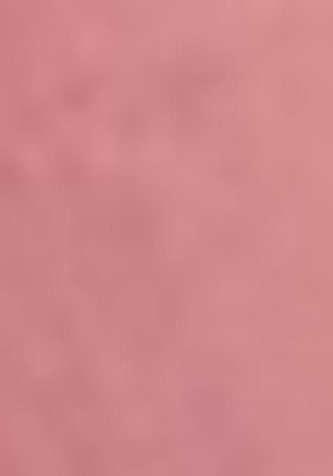 Multi Color Embroidered Silk Lehenga Set With Dupatta