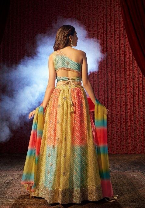 Multi Color Embroiderd Organza Lehenga Set