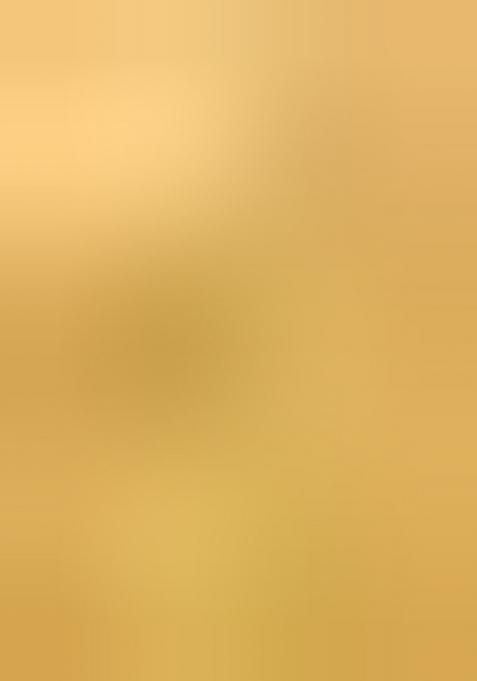 Multi Color Embroiderd Organza Lehenga Set