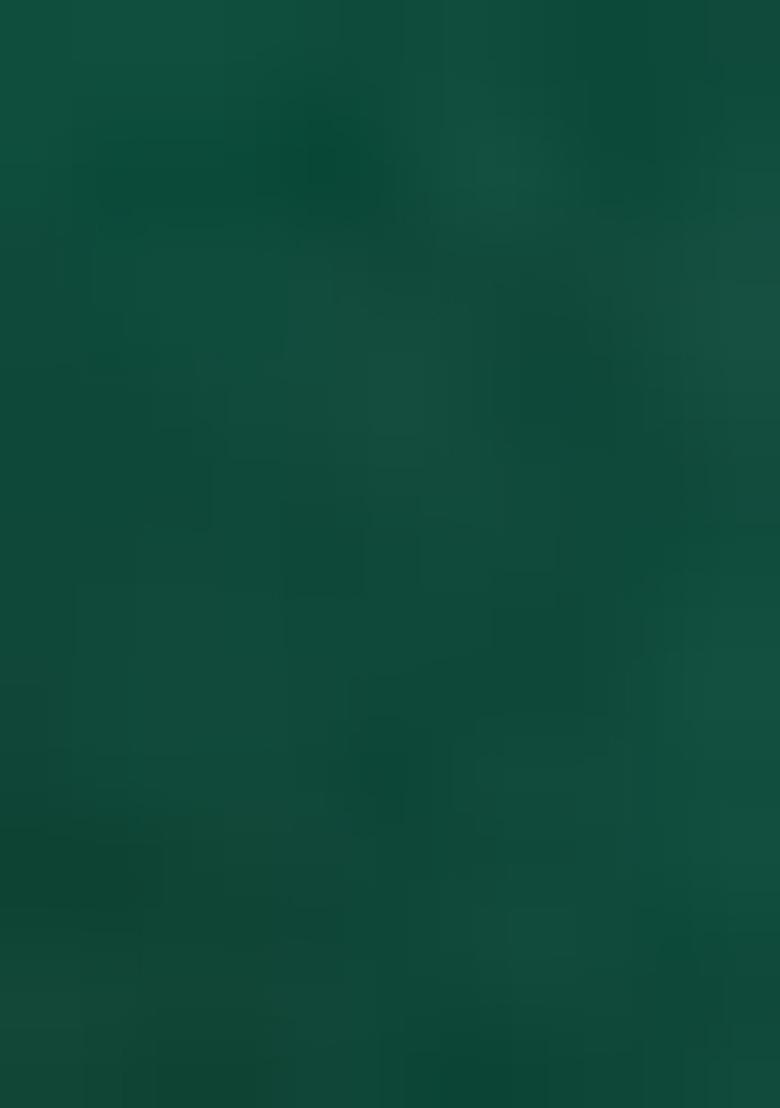 Green Embroiderd Organza Lehenga Set