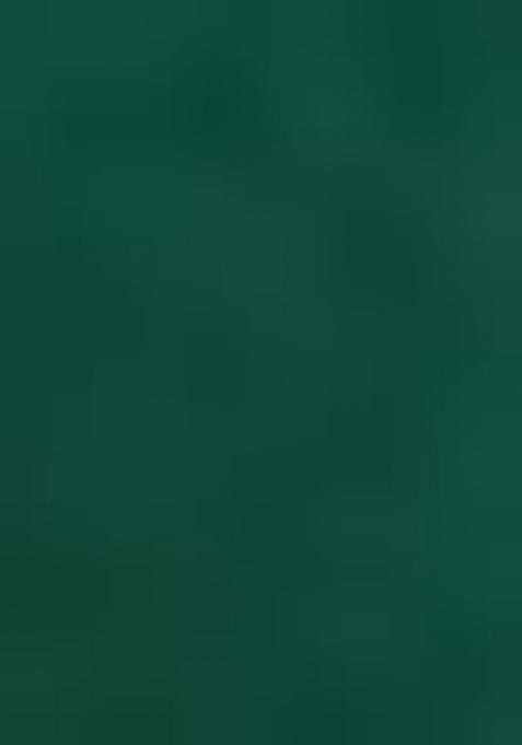 Green Embroiderd Organza Lehenga Set