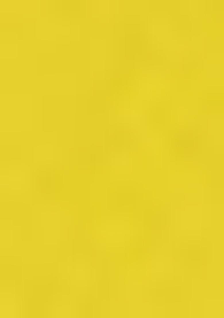 Yellow Embroiderd Organza Lehenga Set