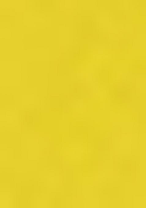 Yellow Embroiderd Organza Lehenga Set