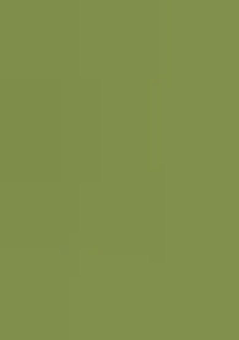 Multi Color Embroiderd Georgette Lehenga Set