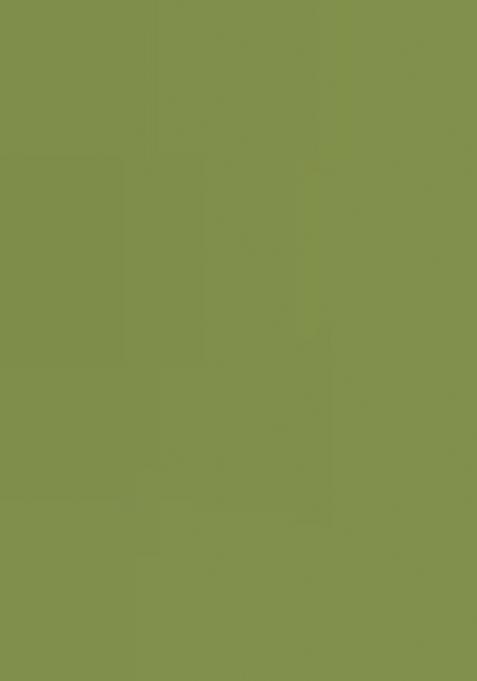 Multi Color Embroiderd Georgette Lehenga Set