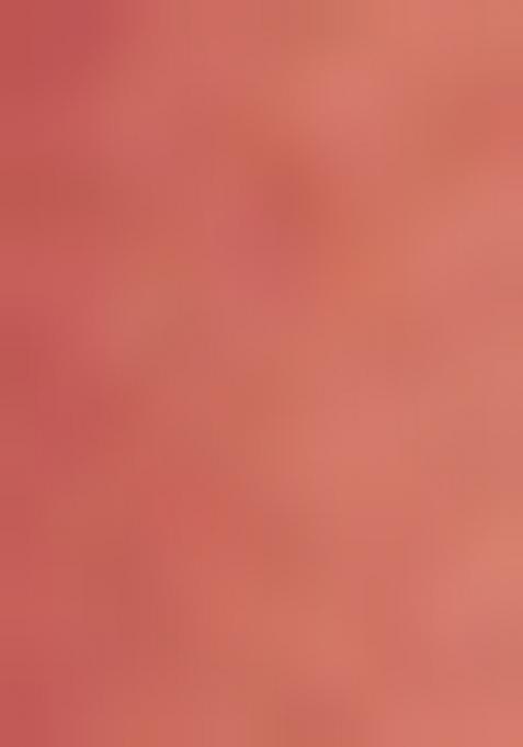 Peach Embroiderd Silk Lehenga Set