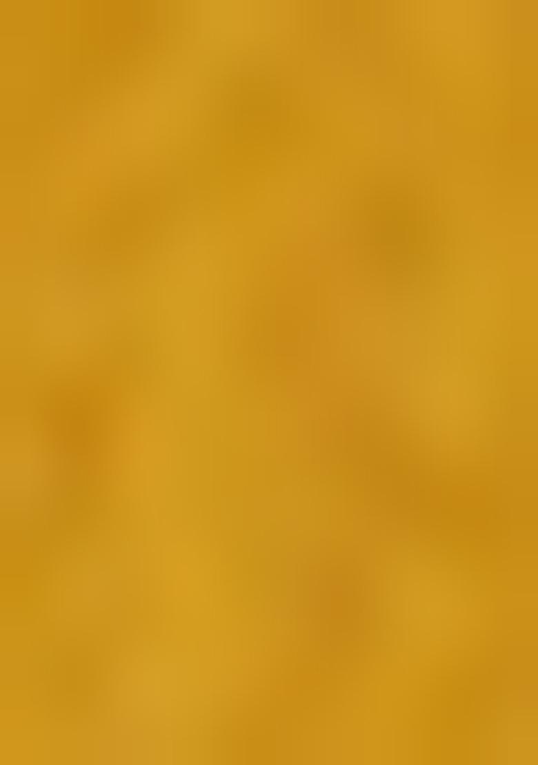 Yellow Embroiderd Silk Lehenga Set