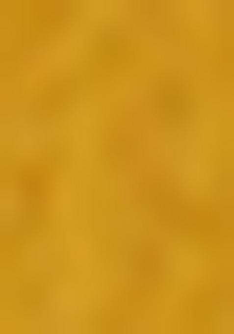 Yellow Embroiderd Silk Lehenga Set