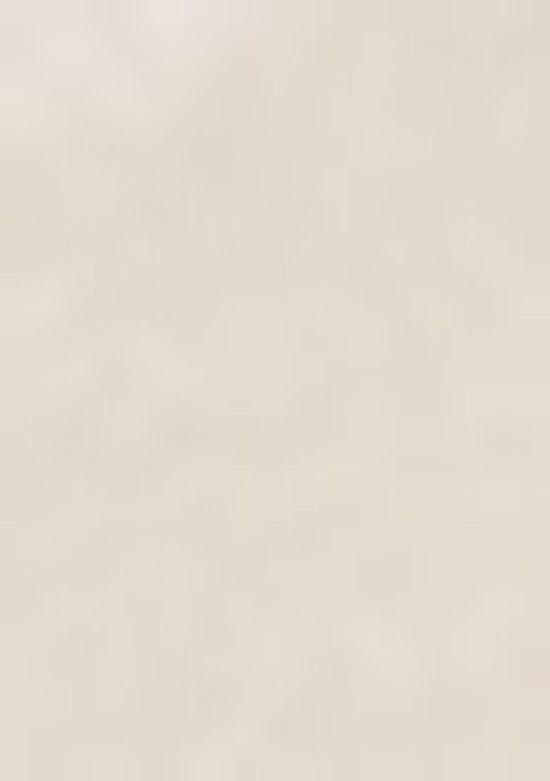 White Embroiderd Georgette Lehenga Set