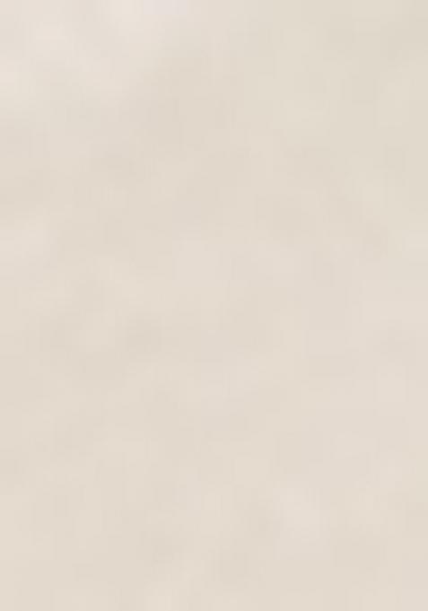 White Embroiderd Georgette Lehenga Set