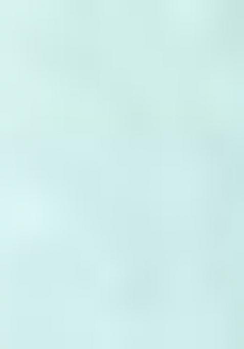 Blue Embroiderd Silk Lehenga Set