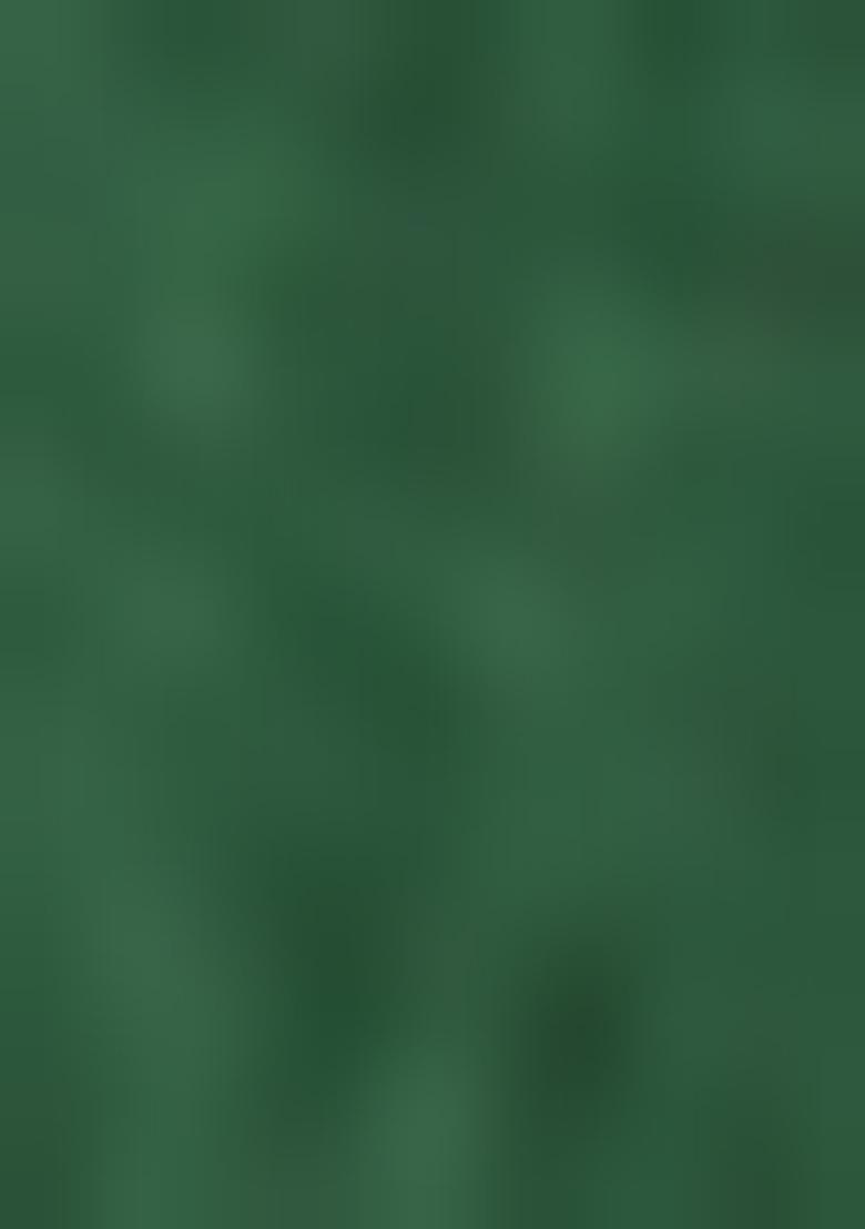 Green Embroiderd Silk Lehenga Set