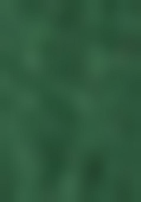 Green Embroiderd Silk Lehenga Set