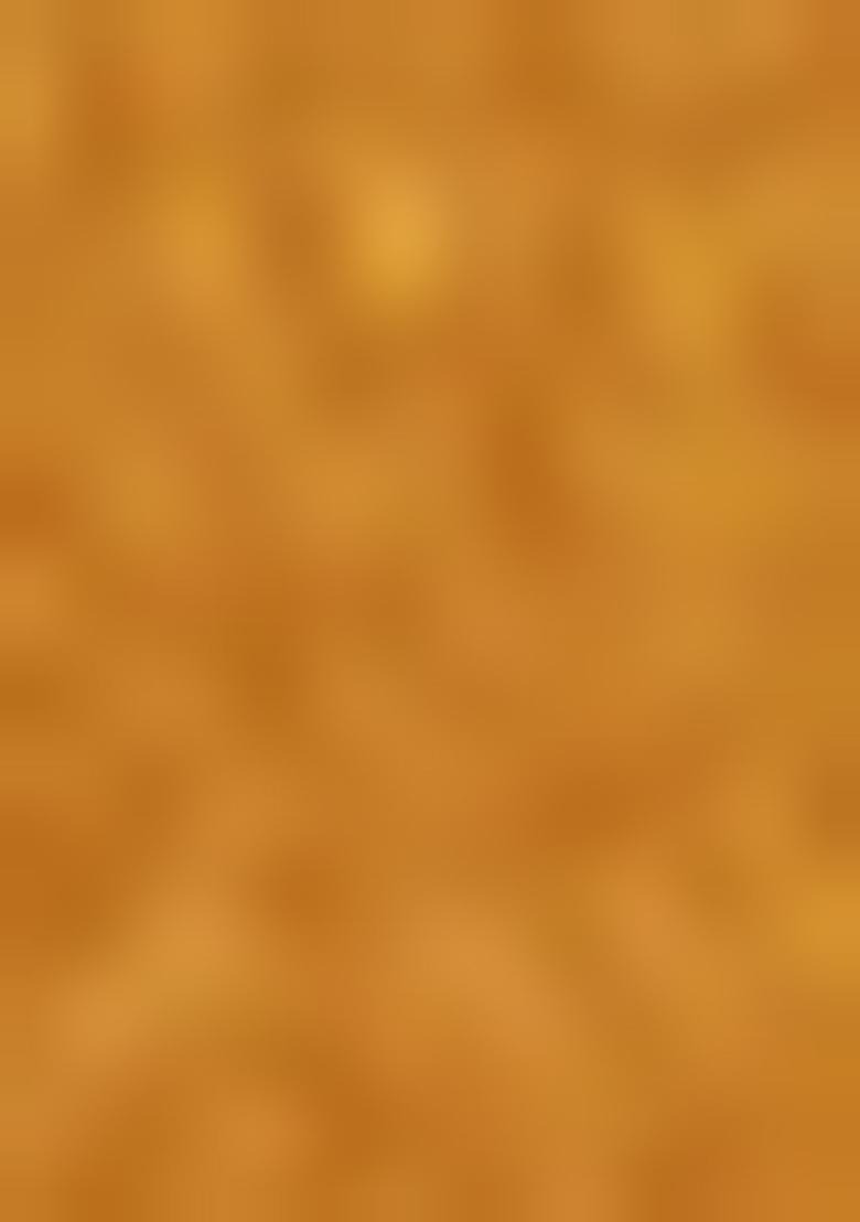 Yellow Embroiderd Silk Lehenga Set