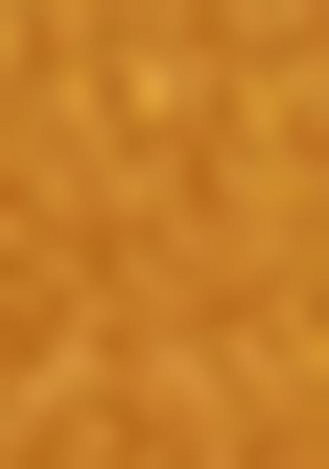 Yellow Embroiderd Silk Lehenga Set