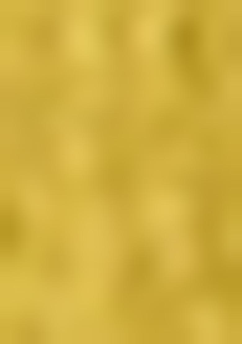 Yellow Embroiderd Silk Lehenga Set