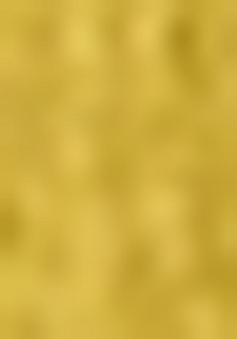 Yellow Embroiderd Silk Lehenga Set