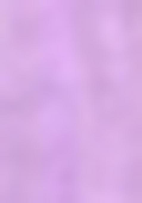 Purple Embroiderd Silk Lehenga Set