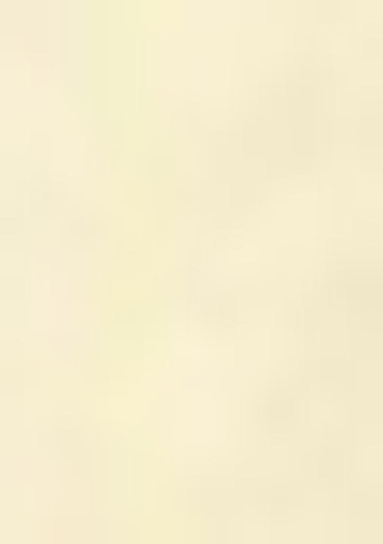 White Embroiderd Silk Lehenga Set