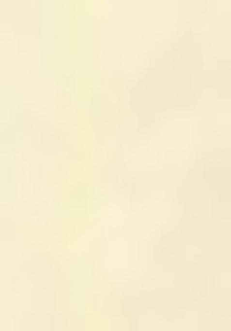 White Embroiderd Silk Lehenga Set