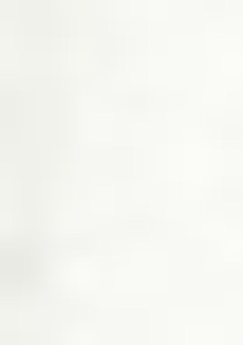 White Embroiderd Georgette Lehenga Set