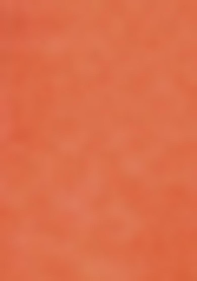 Orange Embroiderd Silk Lehenga Set