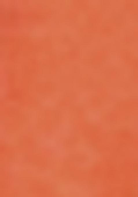 Orange Embroiderd Silk Lehenga Set