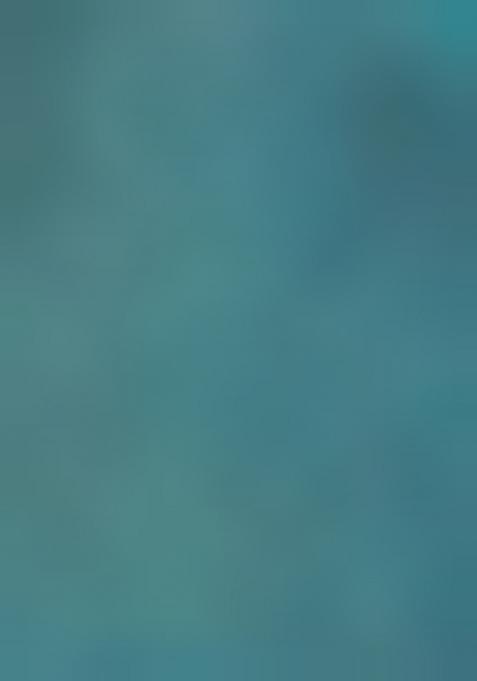 Blue Embroiderd Blended Lehenga Set