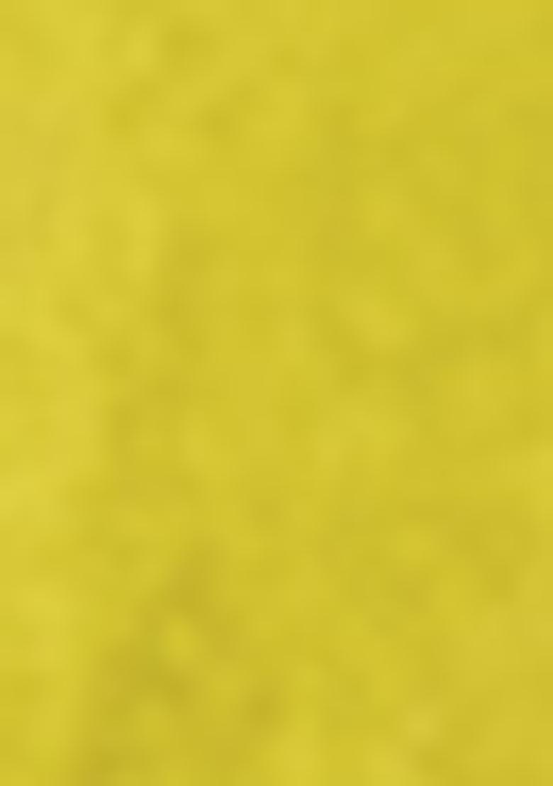 Green Embroiderd Georgette Lehenga Set