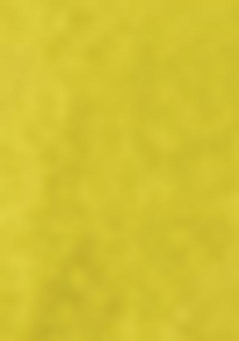 Green Embroiderd Georgette Lehenga Set