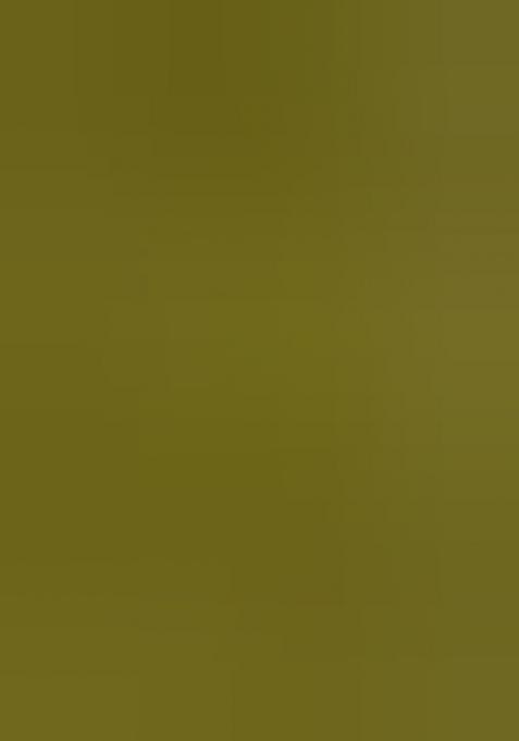 Green Embroiderd Chanderi Lehenga Set