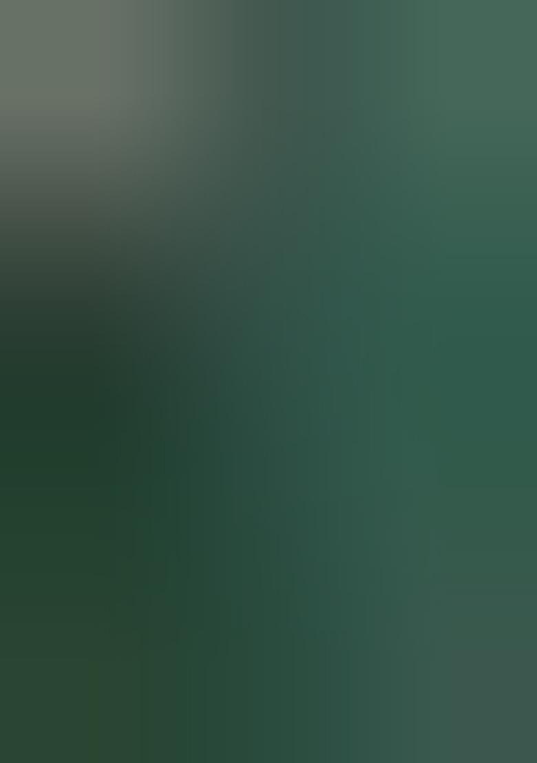 Green Embroiderd Silk Lehenga Set