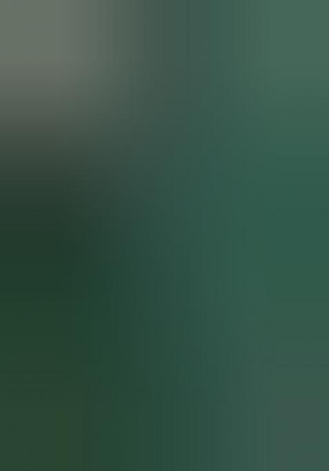 Green Embroiderd Silk Lehenga Set