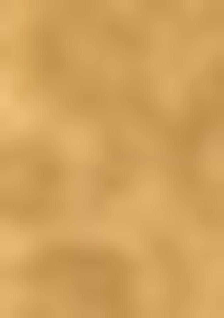 White Embroiderd Blended Lehenga Set