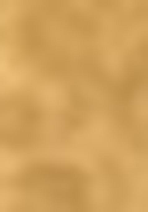 White Embroiderd Blended Lehenga Set