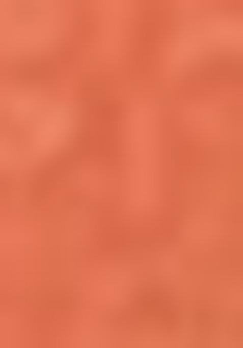 Orange Embroiderd Blended Lehenga Set