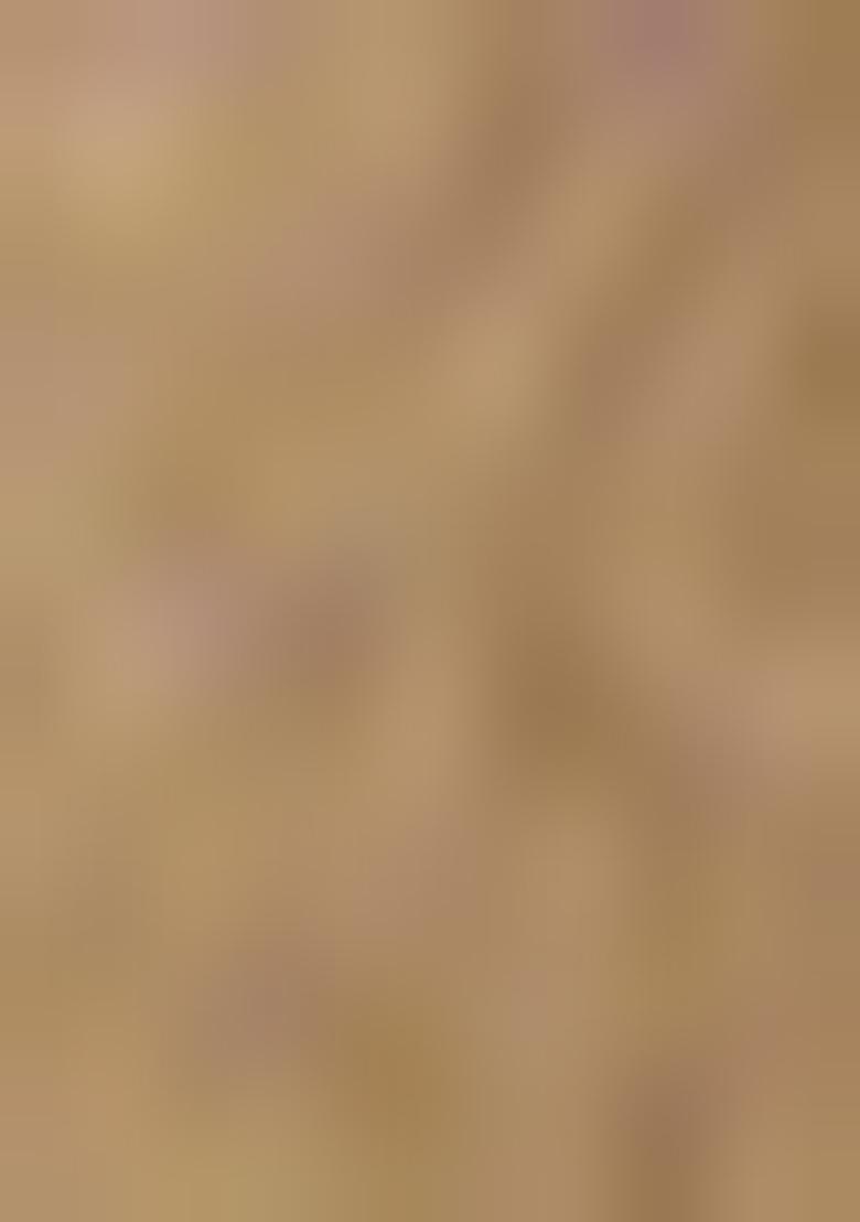 White Embroiderd Blended Lehenga Set