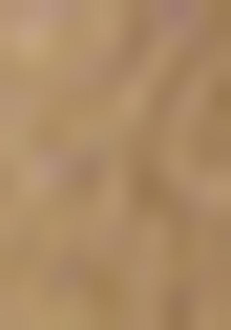 White Embroiderd Blended Lehenga Set