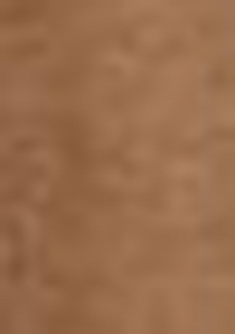 Brown Sequine Embroidered Work Silk Lehenga Choli