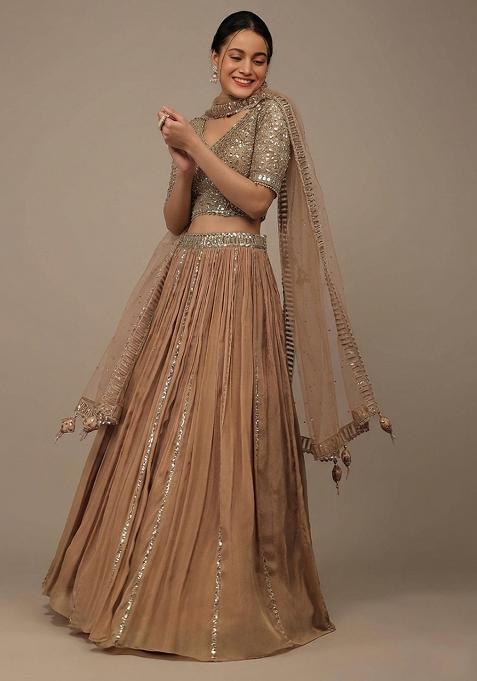 Brown Sequine Embroidered Work Silk Lehenga Choli