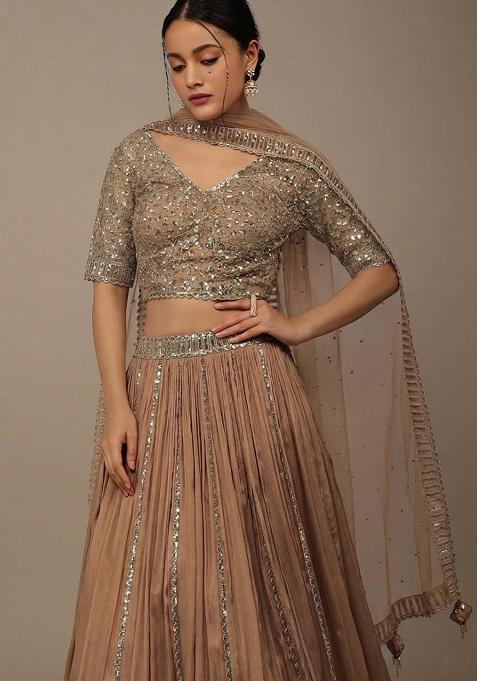 Brown Sequine Embroidered Work Silk Lehenga Choli