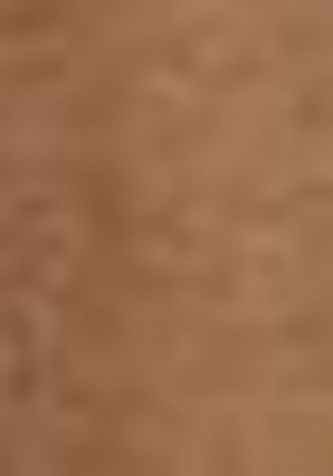 Brown Sequine Embroidered Work Silk Lehenga Choli